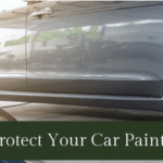How To Protect Your Car Paint
